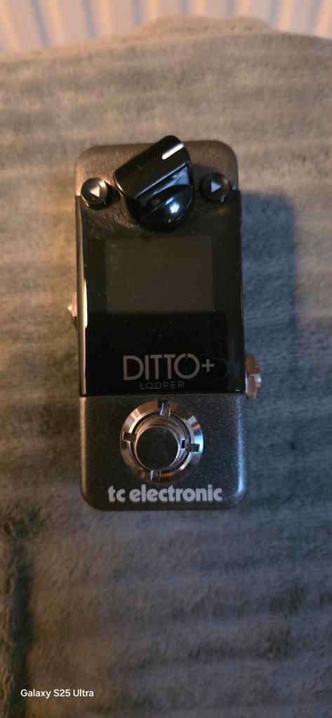 Tc electronic ditto looper plus digital, Muziek en Instrumenten, Effecten, Nieuw, Ophalen of Verzenden