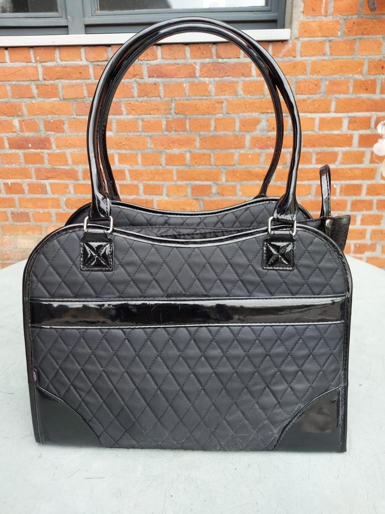 Draagtas voor kat of kleine hond, Dieren en Toebehoren, Ophalen of Verzenden, Zo goed als nieuw