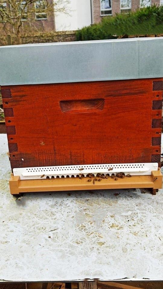 2 ruches Dadant neuve avec la colonie d'abeilles  Buckfast, Tuin en Terras, Overige Tuin en Terras, Nieuw, Ophalen