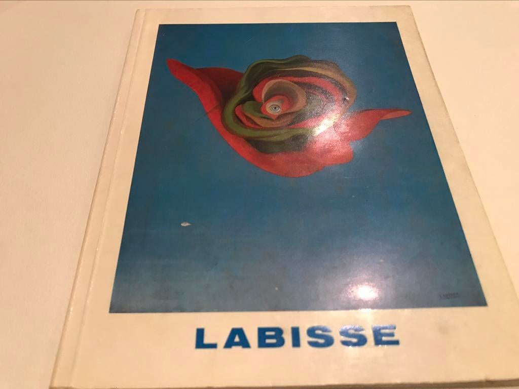 Felix Labisse Peintures Lithos 75pag, Ophalen of Verzenden, Zo goed als nieuw, Schilder- en Tekenkunst