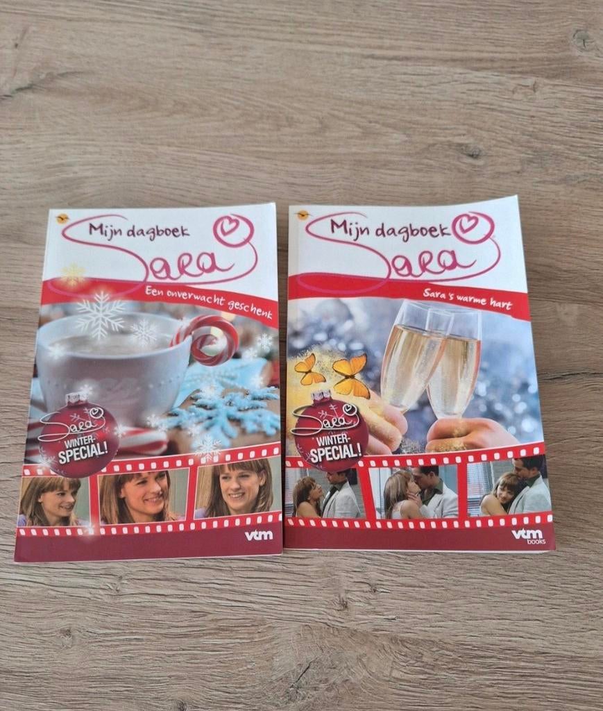 Sara mijn dagboek winter special, Enlèvement