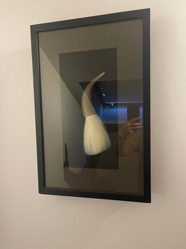 Tableau punceaux japonais sous verre, Enlèvement