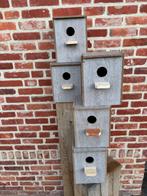 Nestkasten voor parkieten, Ophalen, Nieuw, Hout, Broedkooi of Kweekkooi