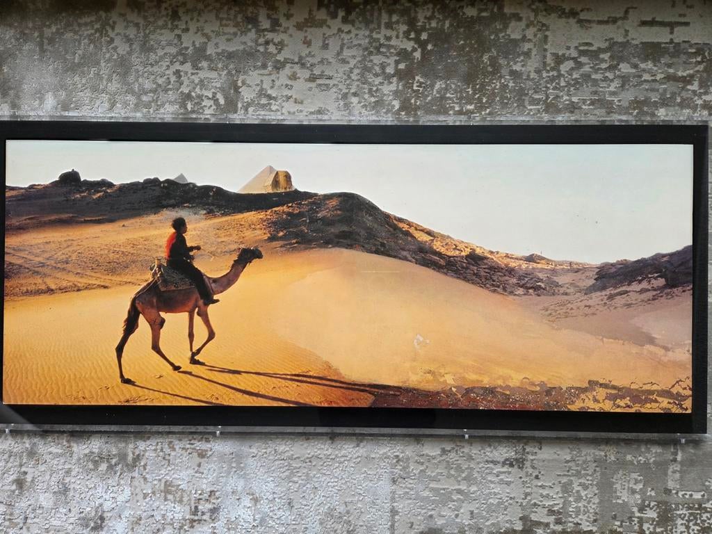 Panamarenko, Ophalen of Verzenden