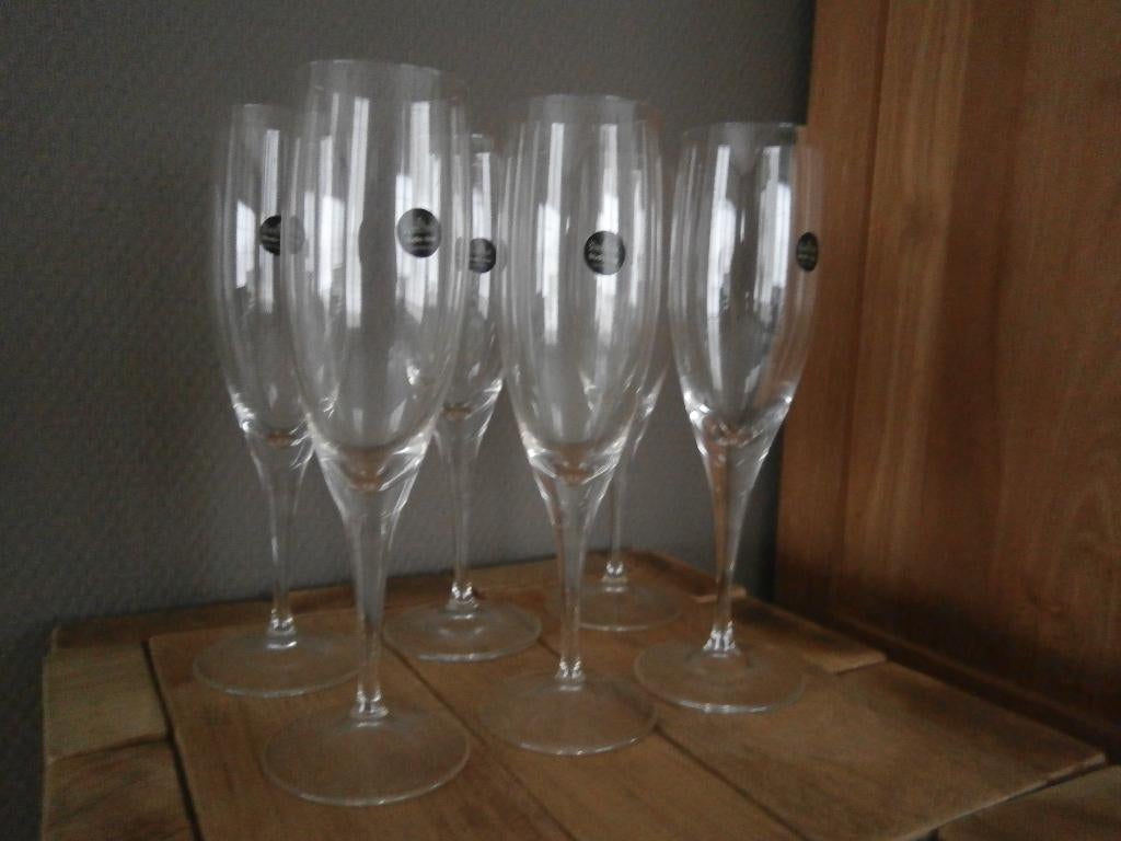 6 kristallen champagneglazen Rosenthal (Germany), Verzenden, Nieuw, Glas, Glas of Glazen