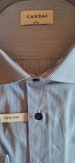 Hemden heren maat 41 en 41/42 met lange mouwen, Kleding | Heren, Overhemden, Overige kleuren, Nieuw, Ophalen of Verzenden, Westbury