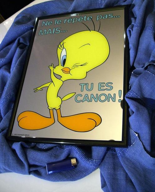 Grand Miroir Looney Tunes - Titi -Tweety, Collections, Personnages de BD, Comme neuf, Autres types, Looney Tunes, Enlèvement