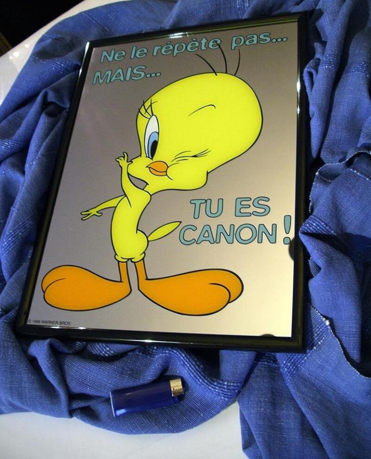 Grand Miroir Looney Tunes - Titi -Tweety, Collections, Personnages de BD, Comme neuf, Autres types, Looney Tunes, Enlèvement