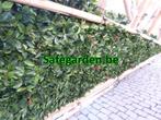 Kunst Laurier haag Safegarden zeer scherpe prijs tot -34%, Tuin en Terras, Ophalen of Verzenden, Nieuw, Kunststof, Overige typen