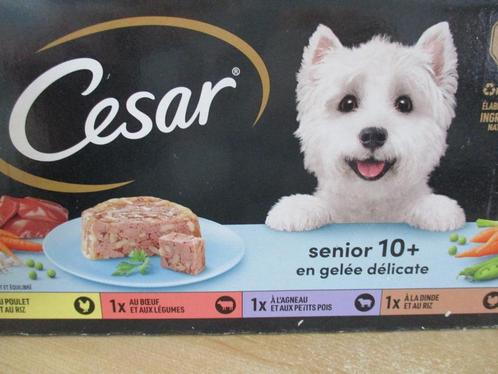 hondeneten, Dieren en Toebehoren, Dierenvoeding, Hond, Ophalen of Verzenden