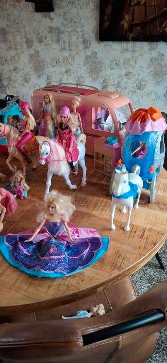 Groot pakket v Barbie beschikbaar voor biedingen
