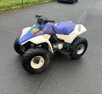 Suzuki LT 80, Motos, Quads & Trikes