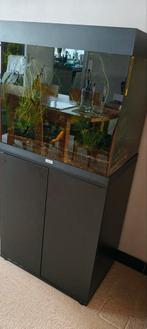 Aquarium juwel+toebehoren, Dieren en Toebehoren, Ophalen, Zo goed als nieuw
