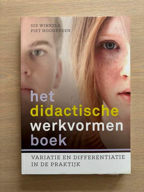 Piet Hoogeveen - Het didactische werkvormenboek, Boeken, Wetenschap, Zo goed als nieuw, Ophalen