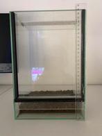 Terrarium en verre, Dieren en Toebehoren, Ophalen, Zo goed als nieuw