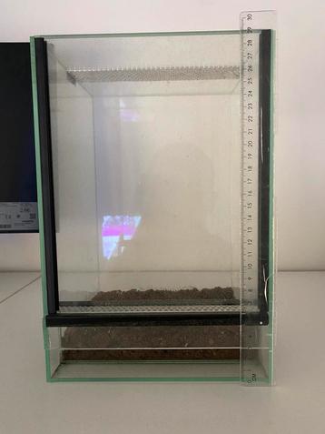 Terrarium en verre  beschikbaar voor biedingen