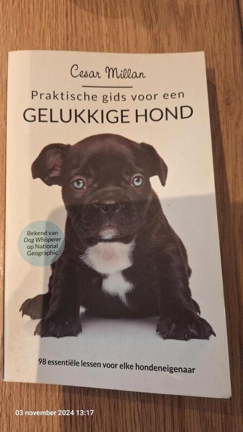 Cesar Millan - Praktische gids voor een gelukkige hond, Livres, Animaux & Animaux domestiques, Comme neuf, Enlèvement ou Envoi