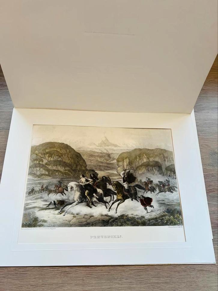 Eduard Friedrich Poeppig - Twee prints in beperkte oplage, Antiquités & Art, Art | Dessins & Photographie, Enlèvement