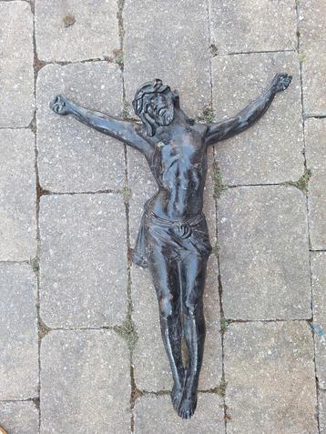 Zware grote corpus beschikbaar voor biedingen