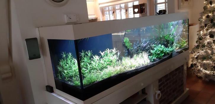 Aquarium, Dieren en Toebehoren, Vissen | Aquaria en Toebehoren, Zo goed als nieuw, Gevuld zoetwateraquarium, Ophalen