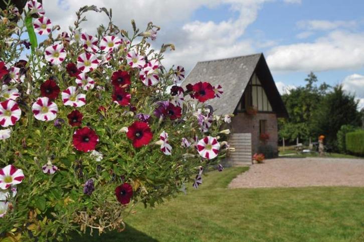vakantiegite voor 2 personen in normandie, Vakantie, Vakantiehuizen | Overige landen, Boerderij of Cottage, Landelijk, In bos