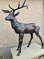 BRONZEN GROOT HERT OPRUIMPRIJS NU, OOK ANDERE HERTEN ENZ..., Ophalen of Verzenden, Nieuw, Overige materialen, Dierenbeeld