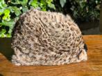 Chapeau dame vintage 1950 motif leopard taille +-58cm, Vêtements | Femmes, Chapeaux & Casquettes, Autre, Enlèvement ou Envoi, Chapeau