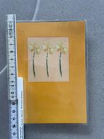 Foto album 15cl x 12cm 15 stuks, Ophalen of Verzenden, Nieuw, Fotoalbum