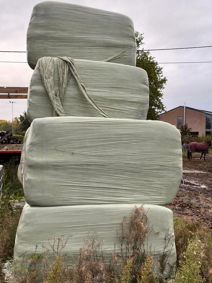 Hooi paarden zomer 2024, Dieren en Toebehoren, Paarden