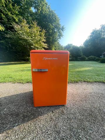 Schaub Lorenz Vintage koelkast beschikbaar voor biedingen
