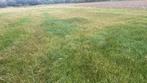 Gezocht landbouwgrond, Immo, Gronden en Bouwgronden, Westerlo, 1500 m² of meer