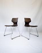 2 stoelen van Elmar Flötotto voor Pagholz, Ophalen, Gebruikt, Twee, Bruin
