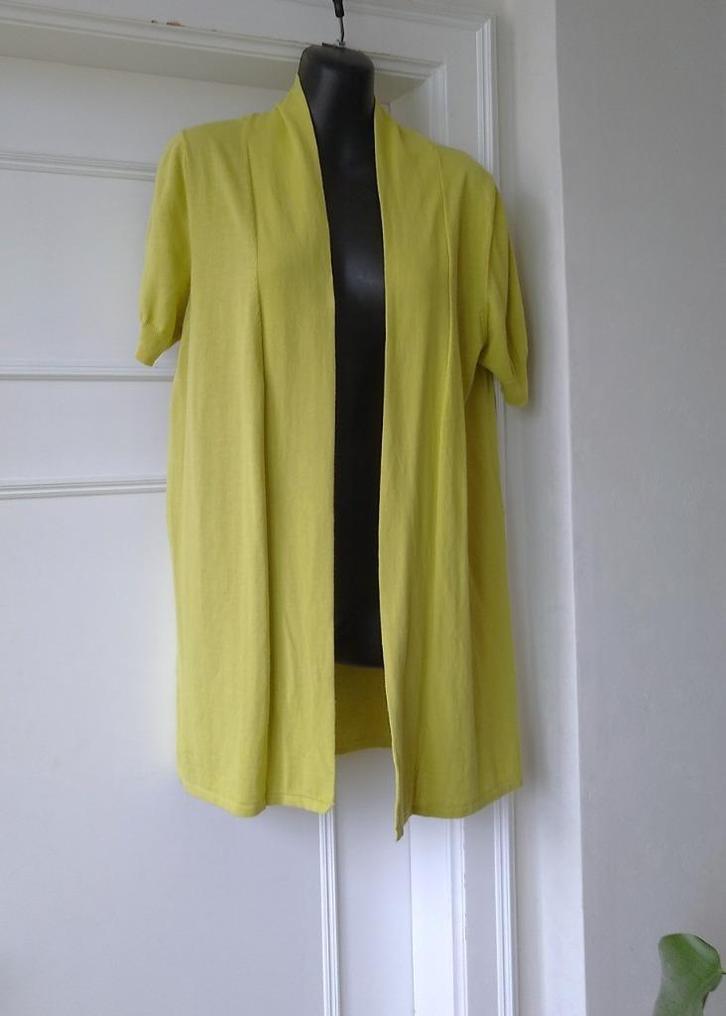 Gigue zacht (limoen)groen open gilet, maatje 42, Kleding | Dames, Truien en Vesten, Gedragen, Maat 42/44 (L), Groen, Ophalen of Verzenden