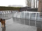 weidehekkens, Dieren en Toebehoren, Stalling en Weidegang, Weidegang