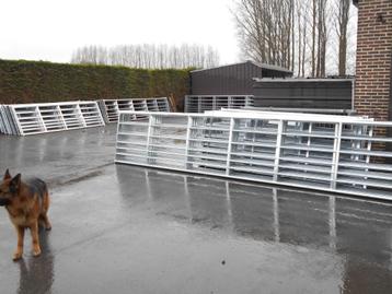weidehekkens beschikbaar voor biedingen