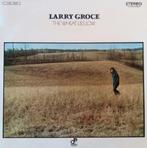 vinyl:   Larry Groce ‎– The Wheat Lies Low (als nieuw), Ophalen of Verzenden, 1980 tot 2000, Zo goed als nieuw, 12 inch