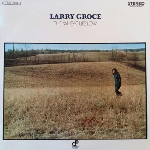 vinyl:   Larry Groce ‎– The Wheat Lies Low (als nieuw), Cd's en Dvd's, Vinyl | Pop, Zo goed als nieuw, 1980 tot 2000, 12 inch