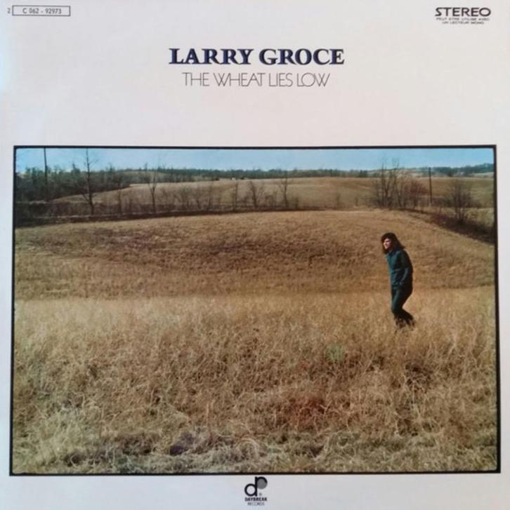 vinyl:   Larry Groce ‎– The Wheat Lies Low (als nieuw), Cd's en Dvd's, Vinyl | Pop, Zo goed als nieuw, 1980 tot 2000, 12 inch