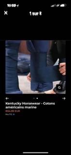 Padd Kentucky, Dieren en Toebehoren, Ophalen of Verzenden, Nieuw