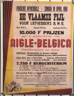 Replica affiche van wielerkoers : de Vlaamse Pijl - 1960, Ophalen of Verzenden, Nieuw, Rechthoekig Staand, Sport