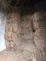 Hooi, Dieren en Toebehoren, Ophalen