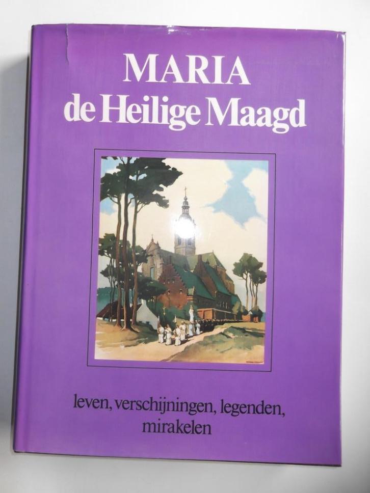Maria, de heilige Maagd, Boeken, Godsdienst en Theologie, Zo goed als nieuw, Christendom | Katholiek, Ophalen of Verzenden