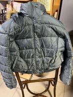 Gewatteerde winterjas mt 46, Kleding | Dames, Jassen | Winter, Ophalen, Nieuw