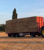 Grote pakken tarwestro, Zakelijke goederen, Landbouw | Veevoer, Ophalen of Verzenden