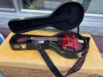 Richwood Mandoline, Musique & Instruments, Enlèvement, Comme neuf