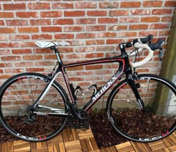 Eddy Merckx - Koersfiets - Carbon - maat 53, Ophalen, Zo goed als nieuw, Carbon