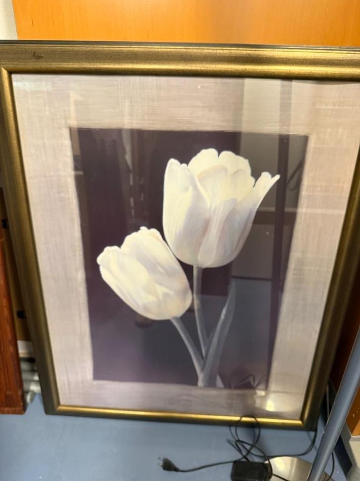 kaders, Huis en Inrichting, Woonaccessoires | Lijsten, Gebruikt, 75 cm of meer, 75 tot 100 cm, Hout, Ophalen