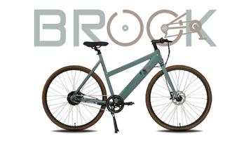 Brook electrische fiets *NIEUW*, Fietsen en Brommers, Elektrische fietsen, Ophalen, Nieuw