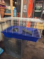 Hamster en konijn kooi, Enlèvement