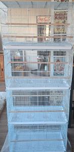4 nieuwe draadkooien 80 x 40 x45, Ophalen, Nieuw, Metaal, Broedkooi of Kweekkooi